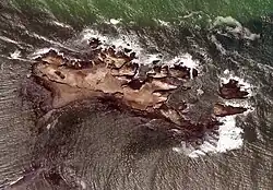 Skalista wysepka Año Nuevo.