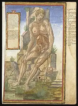 Ilustracja z prac Estienne′a