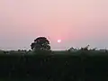 Zachód słońca w Cockerham