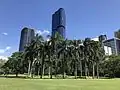 Ogród botaniczny w Brisbane﻿(inne języki)