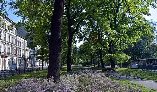 Aleja Mickiewicza widok z północy, z ul. KarmelickiejPo prawej Park Krakowski po lewej czynszowe kamienice.