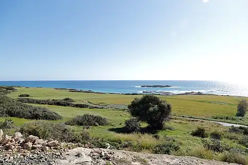 Roślinność półwyspu