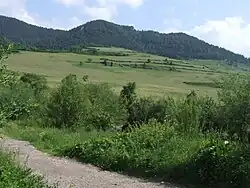 Aksamitka, widok z Haligowców