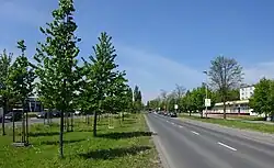 Odcinek alei pomiędzy osiedlami Strusia i Dywizjonu 303, widok w kierunku zachodnim