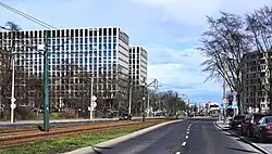 Widok alei od skrzyżowania z ul. Życzkowskiego w kierunku wschodnim