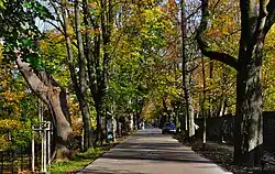 Aleja Jerzego Waszyngtona