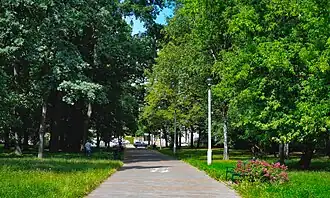 Widok na północ odcinka o wyłączonym ruchu kołowym między osiedlami Krakowiaków (po lewej) i Sportowym (po prawej)