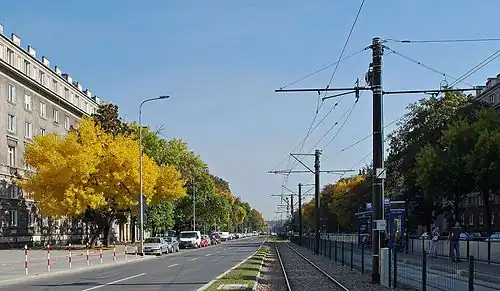 Jesień. Aleja obsadzona jest jesionami.