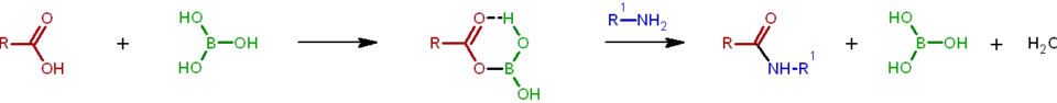 Proponowany mechanizm amidowana katalizowanego kwasem borowym