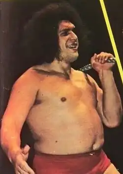 André the Giant