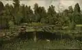 A. Harauski Zarośnięty staw (II poł. XIX wieku)