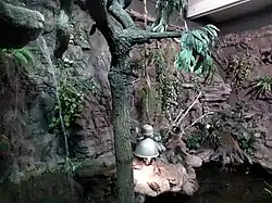 Akwaterrarium w Aquarium