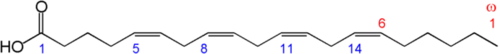 Kwas arachidonowy, 20:4 (ω−6)