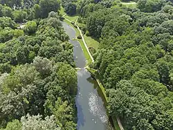 Widok na staw z powietrza. Widoczne wyraźne wydłużenie i przewężenia