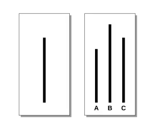 Przykładowe karty z odcinkami przedstawianymi jako materiał do porównań w eksperymencie Ascha.