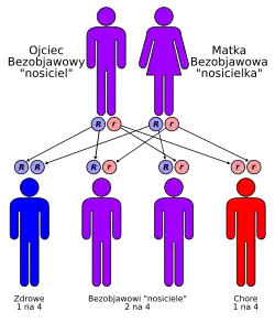 Autorecessive-pl