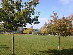 Park Nad Wartą (2013)