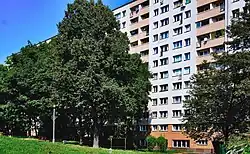 Wnętrze osiedla, tereny zielone, blok przy ul. Jaremy 1–15