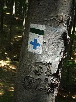 Szlaki w Górach Bu­kowych (Węgry). Stan­dardowy znak szlaku pieszego oraz w kształcie krzyżyka (szlak łącznikowy)