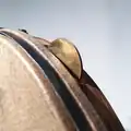 Brzękadło w bębnie obręczowym, Widoczne jest zbliżenie na dwie okrągłe blaszki koloru złotego umieszczone w obręczy bębna