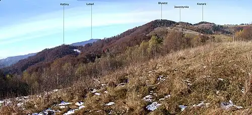 Widok na Błyszcz z Dzwonkówki