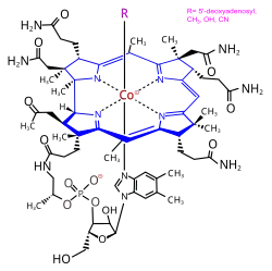 Wzór ogólny kobalamin