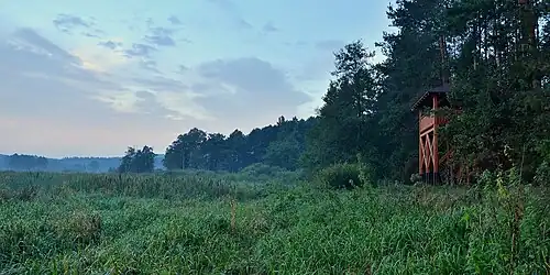 Wieża do obserwacji ornitologicznych, Bagienna Dolina Drwęcy