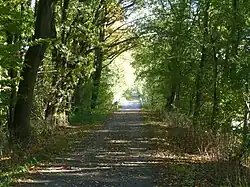 Zdjęcie LK6717 / 1814