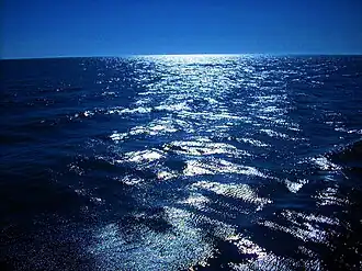 Bałtyk z portu w Darłowie