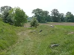 Droga gruntowa z Barnisławia