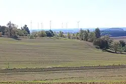 Farmy wiatrowe koło Pomellen