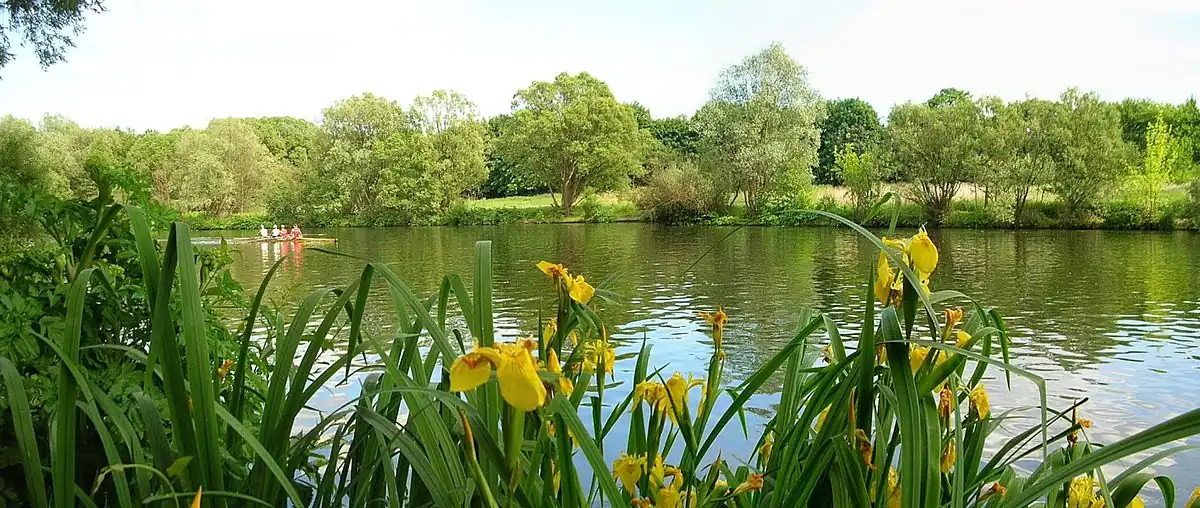 Zieleń nad Brdą w Bydgoszczy