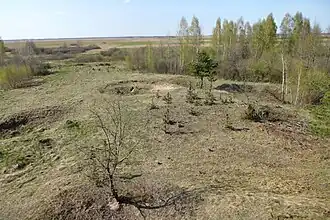 Widok z wieży widokowej