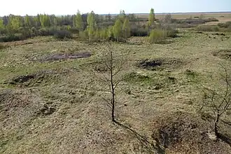 Widok z wieży widokowej