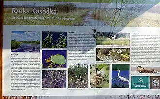 Tablica dydaktyczna przy ścieżce