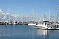 Bay City Marina w Geelong