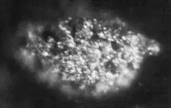 fotografia pierwszej wyizolowanej próbki (1,7 mikrograma) metalicznego berkelu