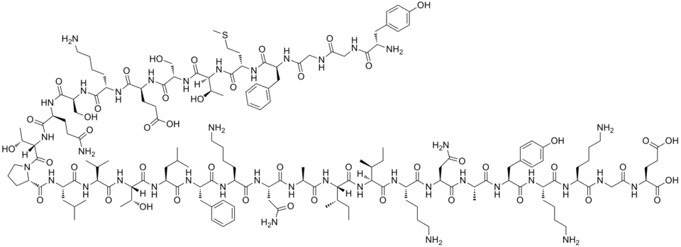 Struktura pierwszorzędowa β-endorfiny