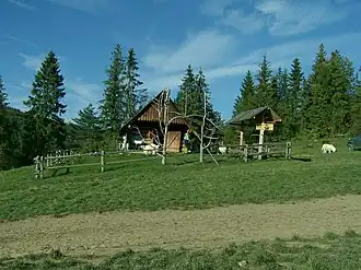 Bacówka na zachodnich zboczach przełęczy