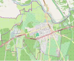 Mapa konturowa Białobrzegów, blisko centrum na prawo znajduje się punkt z opisem „Parafia Świętej Trójcy”