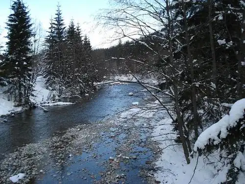 Białka w pobliżu Łysej Polany
