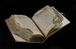 Widok ogólny manuskrypt