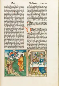 Księga Wyjścia, rozdz. 8 – plaga żab