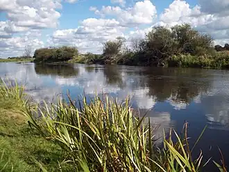 Biebrza w Wierciszewie