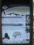 Tablica informacyjna o chronionym sokole