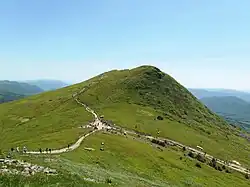 Widok ze szlaku na Tarniczkę