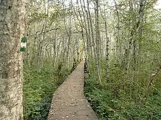 Szlak turystyczny wokół jeziora