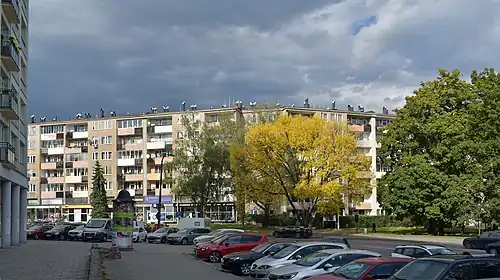 Blok szwedzki (1957)Kraków, Nowa Huta os. Szklane Domy 1