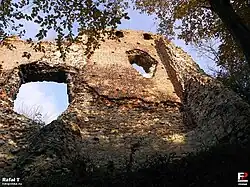 Ściana skrzydła południowego (2011)