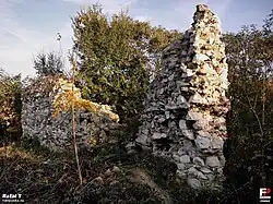 Pozostałości murów zamkowych (2011)